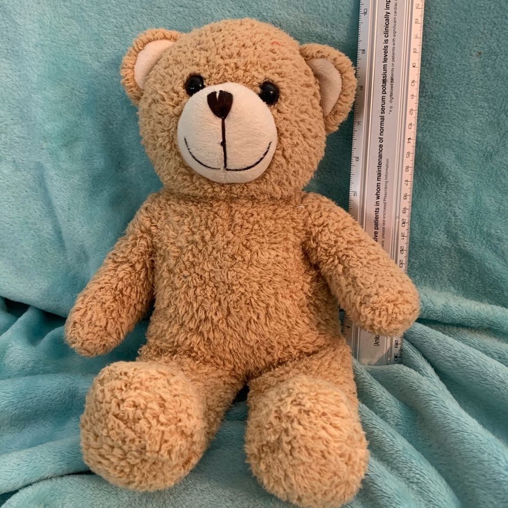 DanDee 15” Happy Brown Plush Teddybear